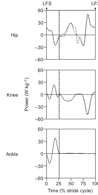 Fig. 7. The effect of steady-state locomotion speed on the peak ankleplantar flexor moment during stance