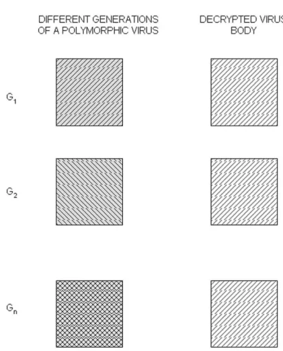 Figure 1: How polymorphic viruses evolve with each generation [4]