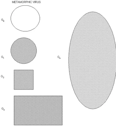 Figure 2: Evolution of generations of a metamorphic virus [4]
