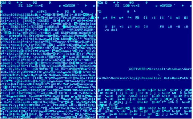 Figure 4: Difference between a packed and unpacked virus [6]