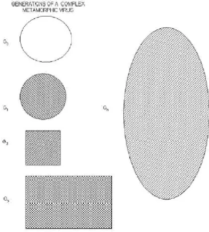 Figure 1: Metamorphic virus generations [32] 
