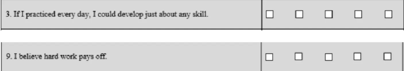 Figure 5. Self-efficacy formative questionnaire (Erickson &amp; Noonan, 2018). 
