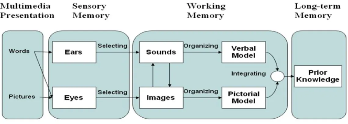 Figure 4. Mayer’s cognitive theory of multimedia learning. Adapted from Mayer, R. E.,  1947