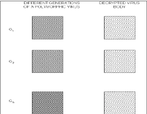 Figure 1 Polymorphic Virus Generations [15] 