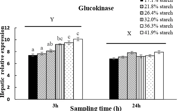 Fig 6. Relative expression of GLUT2 in liver in response to different carbohydrate levels at 3h and 24h after feeding
