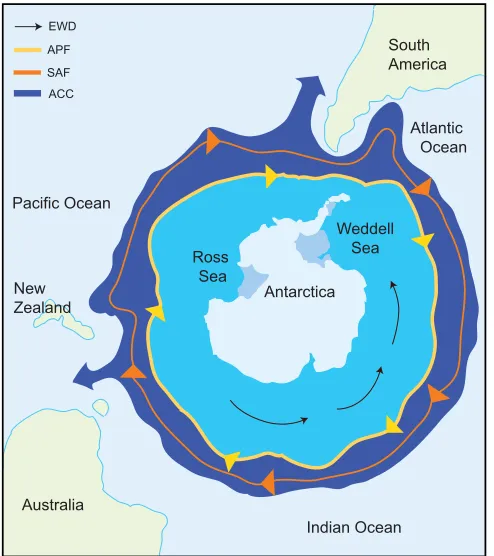 Fig. 1. The Southern Ocean and its oceanographic current systemsurrounding Antarctica.1993; Scher and Martin, 2006)