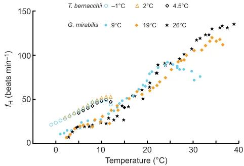 Fig. 5. Comparison of heart rates between a cold-adapted stenothermalAntarctic notothenioid and a temperate eurythermal goby.eurythermal estuarine gobyadaptation of cardiac function, i.e