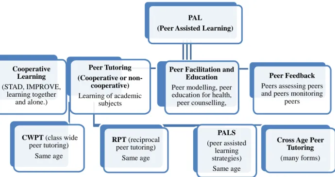 Figure 1. Diagram categorising paired learning 