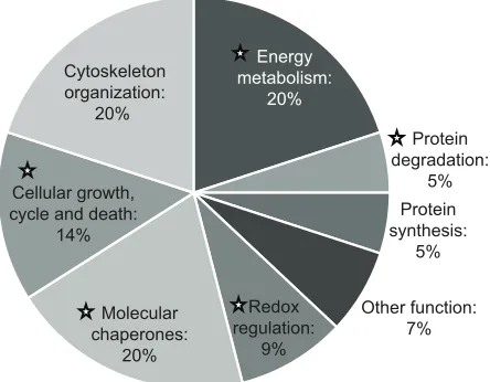 Fig. 4. Gene ontology classification of proteins generally detected incomparative proteomics.assigned to only one functional category