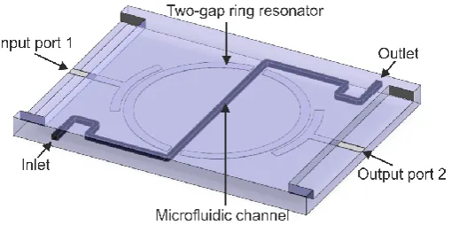 Figure 1. A CAD model of the two-gap ring resonator sensor. 