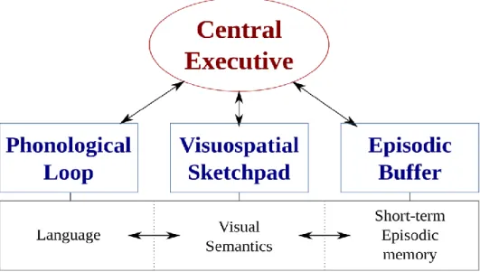 Table 2.1: The proposed functions of each component according to the multi- component  model of working memory (Baddeley, 2000)