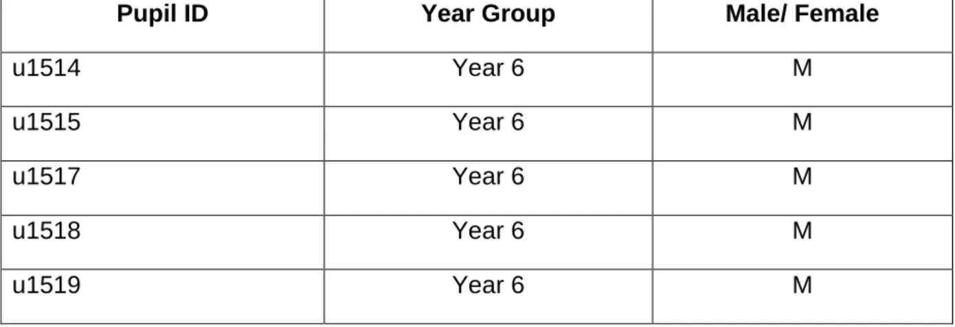 Table 3.3: A Table to show the Year 6 pupil ID, year group and gender.  