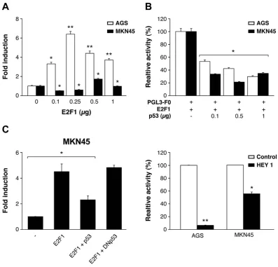 Figure 3. Chk1’s promoter activity is regulated by E2F1 and p53 in GC cell lines. (A) Cells were transfected with increasing doses (0–1 μ g) of an E2F1 expression vector (pCMV-E2F1), the corresponding empty control expression vector, and 200 ng of pGL3-F0
