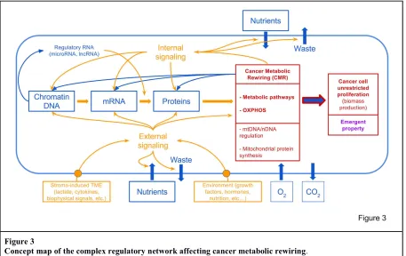 Figure 3 Concept map of the complex regulatory network affecting cancer metabolic rewiring