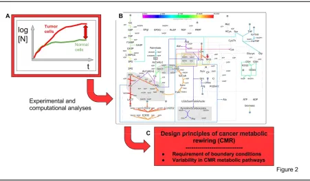 Figure 2 A systems metabolomics approach to identify design principles of Cancer Metabolic Rewiring (CMR), which 