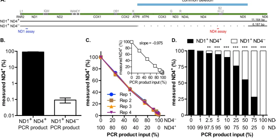 Figure 4. *** replicate experiments is linear at all tested mixtures of ND4products used in the qPCR analysis (ND1Sensitivity of ND4− detection using model Δ mtDNA substrates