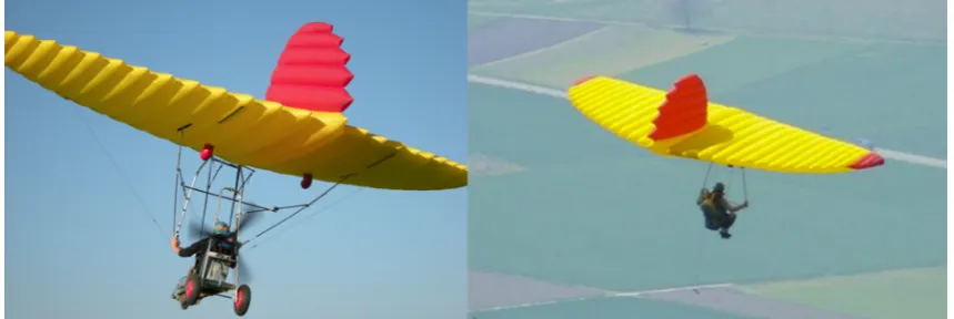 Figure 1. Front and Top View of CGS Hawk light-weight sport aircraft. It is hypothesized that the ribsact as ridges which disrupt the spanwise ﬂow over the wings thereby increasing the efﬁciency.