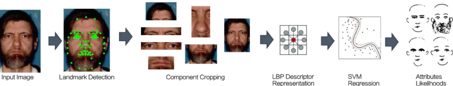 Figure 5. The process for automatically extracting attributes from face images is illustrated above