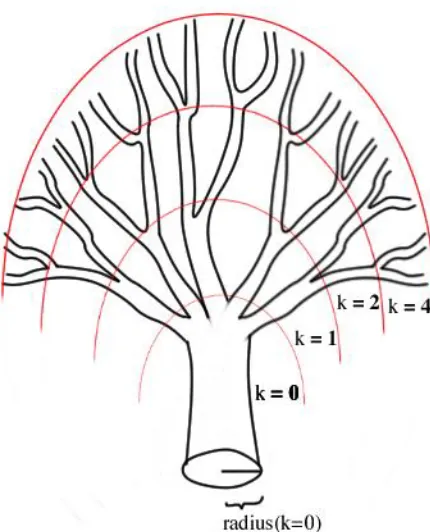 Figure 2: Many biological distribution networks (like the cardiovascular system or tree-branching) have a tube-like space-filling fractal design that minimizes energy of distribution and maximizes the service area