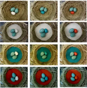 Table 1. Experimental nest/egg color manipulations showing the predicted and observed effects on rejection rates in robins
