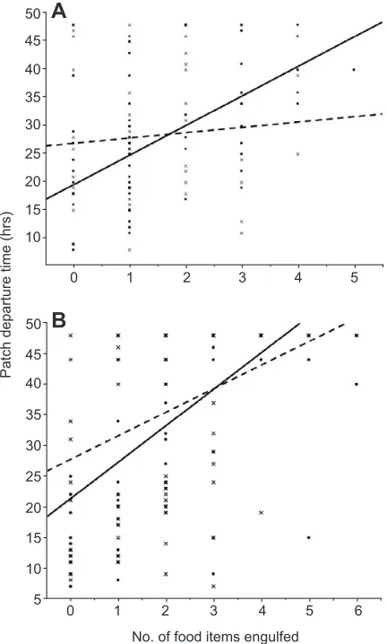Fig. 2. The effect of engulfing high and low quality food items on the timeit took for plasmodia to leave patches.(B) (A) Physarum polycephalum