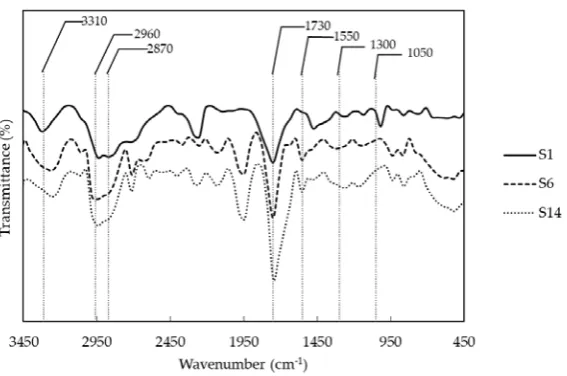 Figure 1. Representative infrared spectra of polyurethanes with different combination of polyols