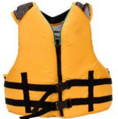 Figure 2.1: Example of life jacket (Source: www.doityourself.com) 