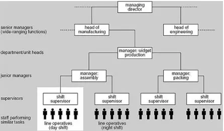 Figure 1 The traditional hierarchical structure. Note: The highlighted area shows one supervisor’s span of control: the people who work for that supervisor 
