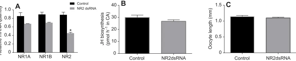 Fig. 6. The effect of DpNR2normalized against levels ofpunctataeach pool) run in triplicate