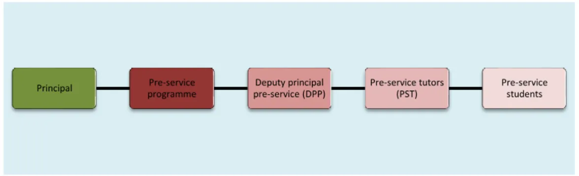Figure 1: primary teachers college (PTC) - simplified professional structure - pre-TDMS 