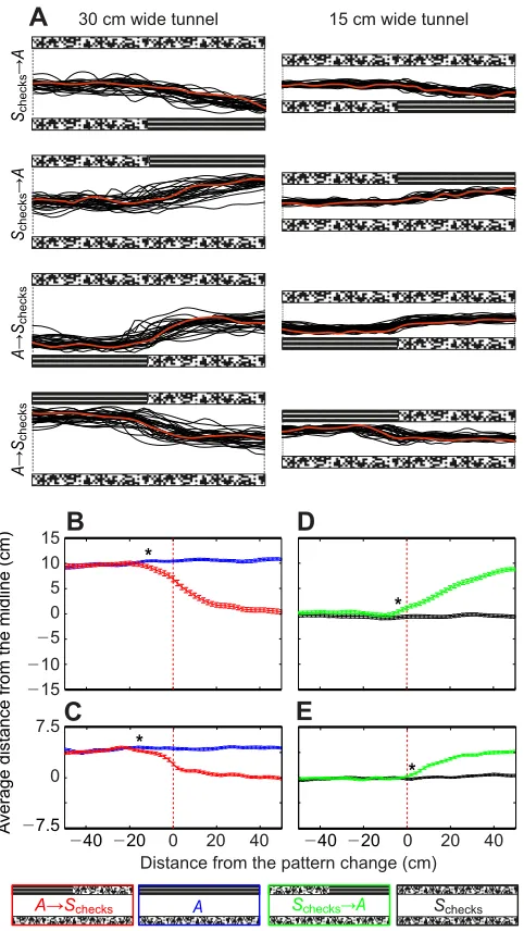 Fig. 5. Effect of a unilateral change in optic flow on flight speed. Averagerepresent control conditionflight speed of bees flying along a 30 cm wide tunnel (A,C) or a 15 cm widetunnel (B,D)