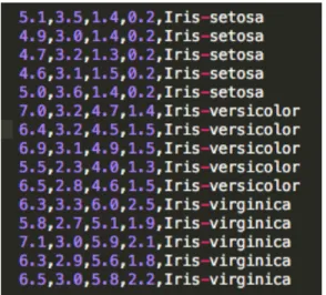 Figure 5. Sample input dataset 