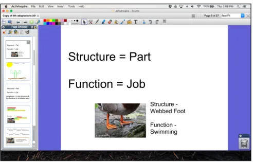 Figure 4.4. Promethean slide created to clarify the meaning of “structures” and “functions.”