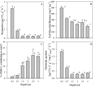 Fig. 3. Mineralisation kinetics following the addition of2.0parian soil, incubated at 10 °C for four weeks