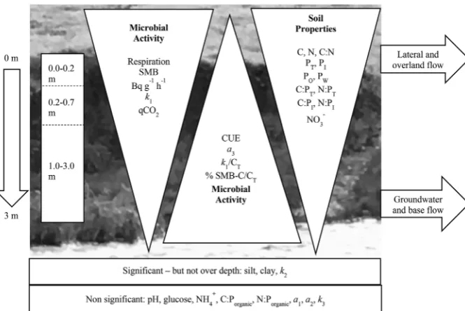 Fig. 6. The variation in soil properties and microbialsoil demonstrated higher CUE and a greater propor-tion of total C consisting of SMB-C, with initial mi-neralisation forangles representing the reduction or increase in mi-crobial activity and soil param