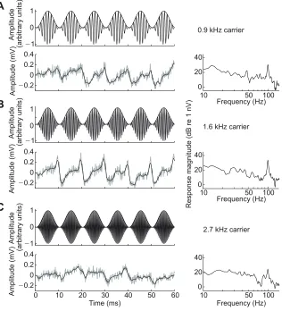 Fig. 2. Examples of amplitude-modulated stimuli andauditory steady-state responses (ASSRs).