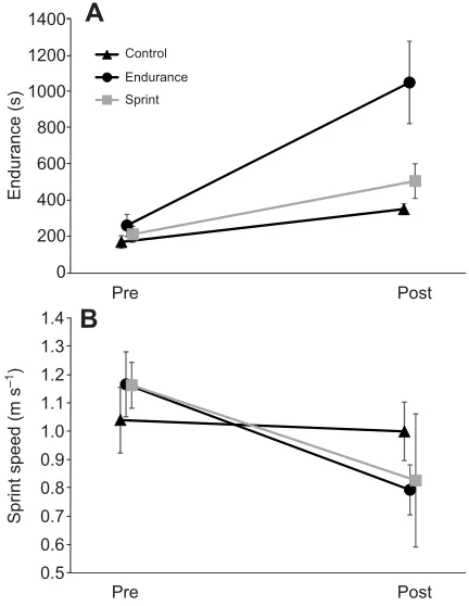 Fig. 1. Endurance capacity and sprint speed for green anole lizardstrained for sprint speed and endurance