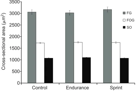 Table 2. ANOVA analyses on fibre type cross-sectional areas in the biceps, gastrocnemius and iliofibularis muscle