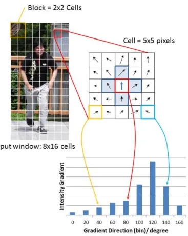 Figure 2.1: Cell, Block and histogram in HOG Feature Extraction