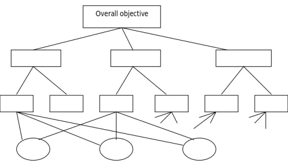 Figure 1. The typical hierachical structure of a decision problem Overall objective 