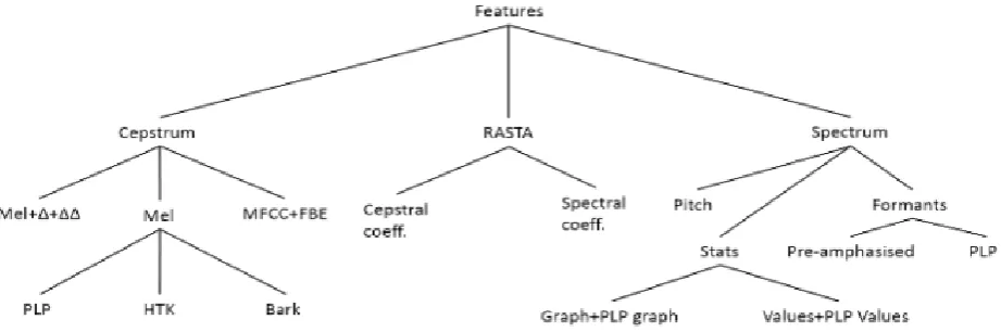 Figure 1. The computed acoustic features.