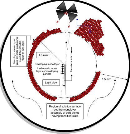 Figure 3: Gold atoms at solution surface in suitable circular zone width i.e. 1.5 mm where double-