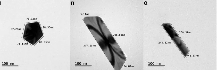 Figure 5:  (a-o) bright field transmission microscope images of standalone triangle-, hexagon-, isosceles 