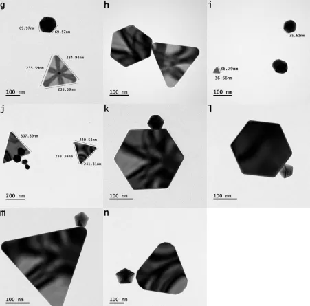 Figure 6: (a-n) bright field transmission microscope images of various geometric anisotropic shaped 