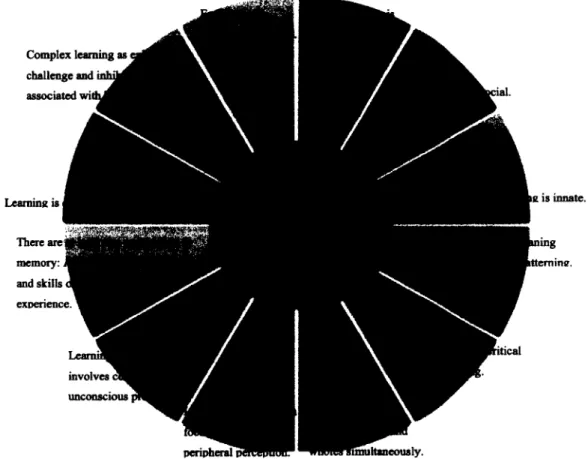 Figure 7.  “Human Beings are Living Systems: Twelve Mind Brain Principles”