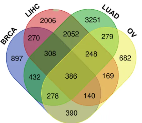 Figure 7.   Venn diagram of positively correlated genes to the TAP1 gene for BRCA, LUAD, LIHC, and OV, collected from the Draw Venn web tool and R2 genomics web-based tool