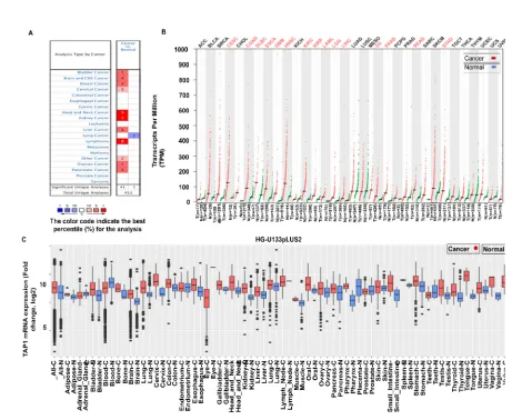 Figure 1. Expression of TAP1 in different cancers kinds: (A) cancer vs. normal upregulation (red) and downregulation (blue) in left and right columns, respectively, with default parameters of a p-value:1E-4, fold change: 2 and a % gene ranking: 10% for exp