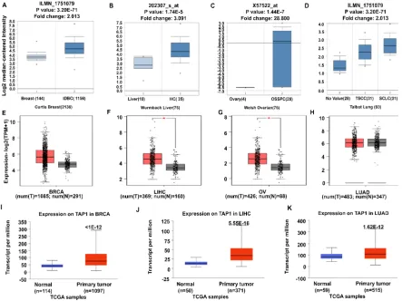 Figure 2. Cancer vs. normal comparison was observed in various cancers for the pattern of TAP1 expression