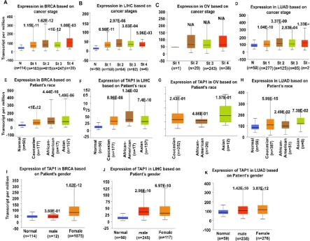 Figure 3. The relationship of the expression of TAP1 with different clinical characteristics in cancer affected 