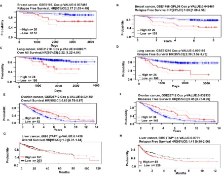 Figure 6. Analysis of patient survival on TAP1 expression in different cancers. The probability of affected 